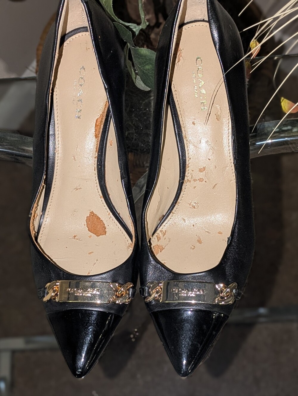 Coach Heels - Picture 8 of 12